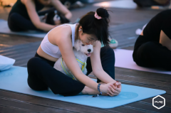 共迎2025国际瑜伽日，韶音×PURE以开放聆听重新定义宠物瑜伽体验